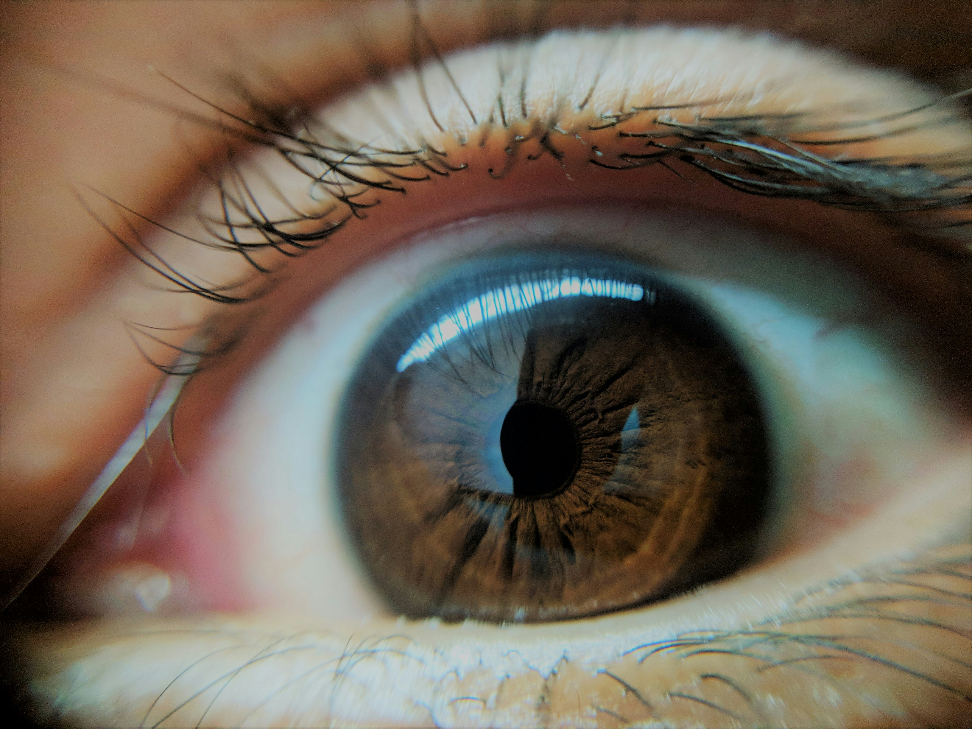 Eye Mono Sticks